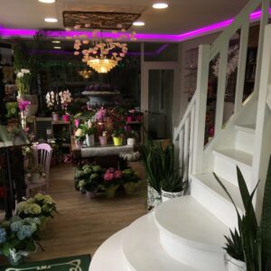 SAE_decoration (3)